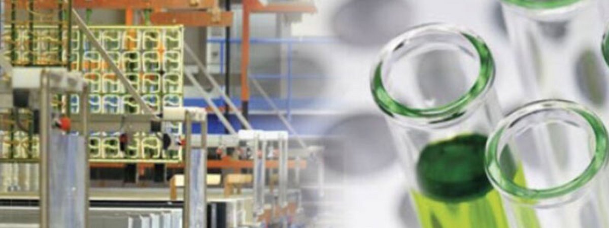 ZVO Plant Chemistry Industrial Coaters Decline in sales