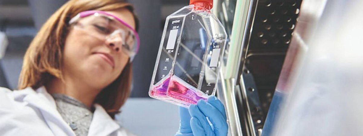 Evonik additive phosphate methacrylate corrosion protection adhesion promoter