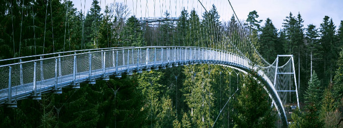 Vapic Schwarzwaldbrücke logistics contract cleaning