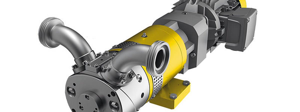 Lutz wobble ring pump for highly viscous media Coatings