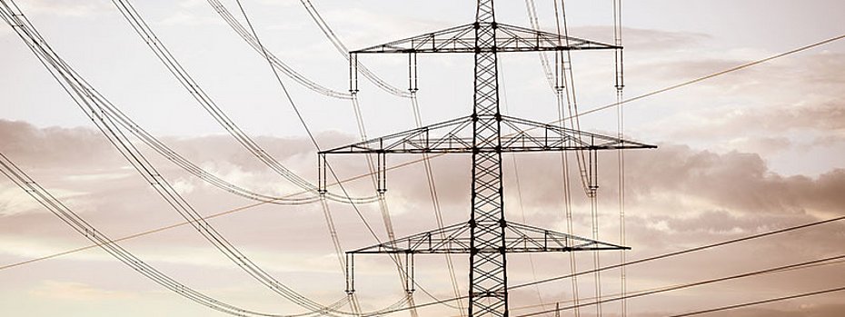 ZVO industrial electricity price