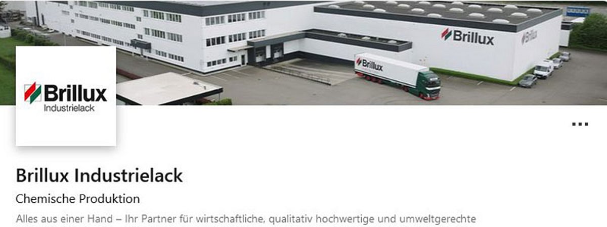 brillux industrial paint linkedin