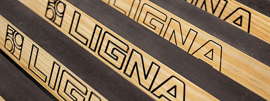 Ligna 2025 Surface technology