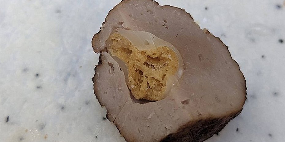 Biobased coating packaging food