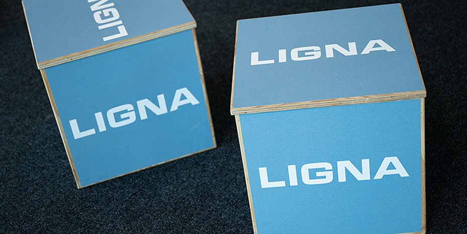 Ligna 2025 Surface technology