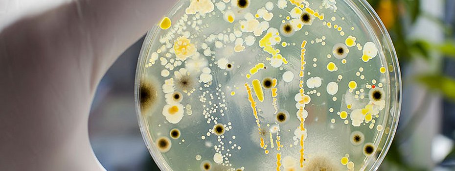 Production hygiene Electrocoating systems ETL