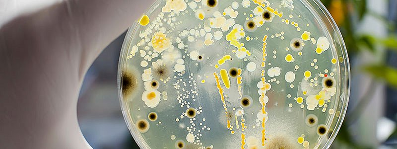 Production hygiene Electrophoretic coating systems ETL