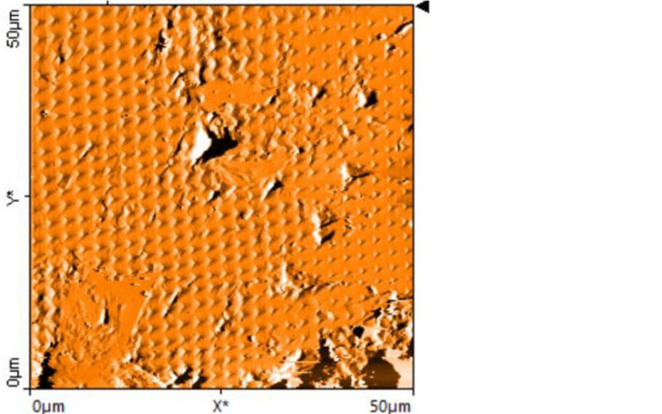 AFM Nanoindentation Surface Analysis