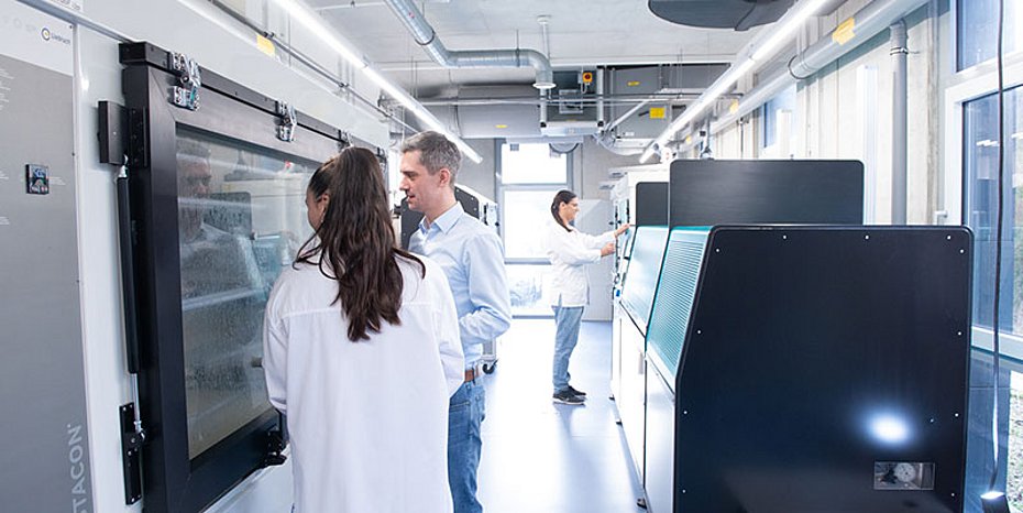 Qubus and IFO 30 years