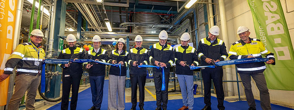 BASF aqueous dispersions new production line Netherlands