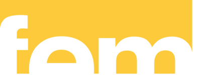 Logo: fem Research Institute