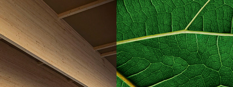 Pfleiderer EcoVadis Gold Medal Sustainability