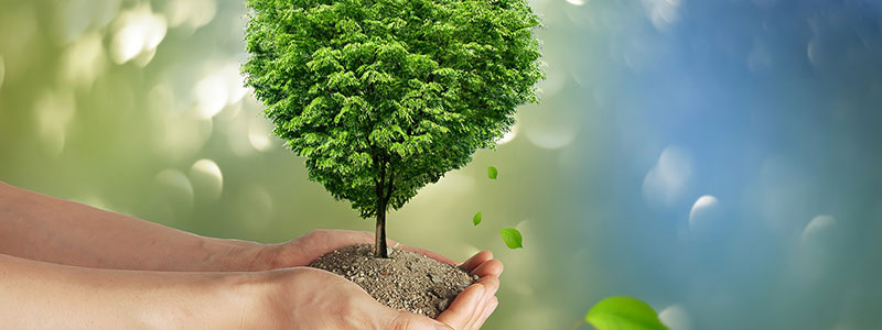 Wacker climate neutrality target 2045