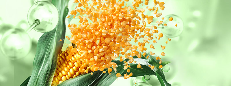 Hubergroup European Coatings Show 2025 bio-based UV oligomer coatings