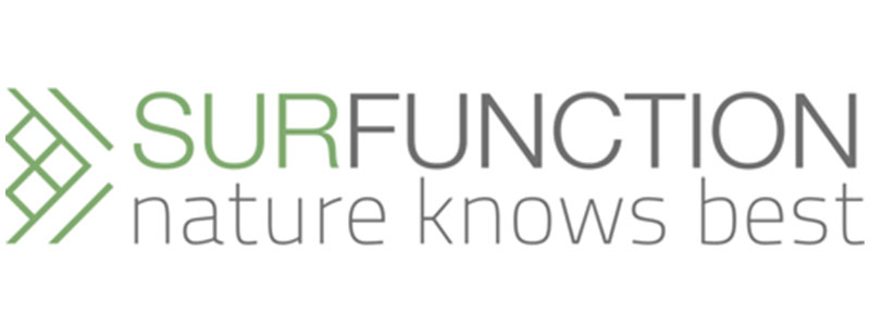 Surfunction Management CSO CTO